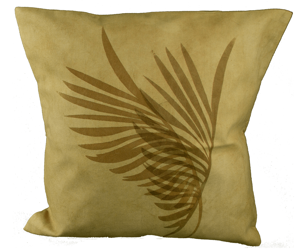 Two Feathers